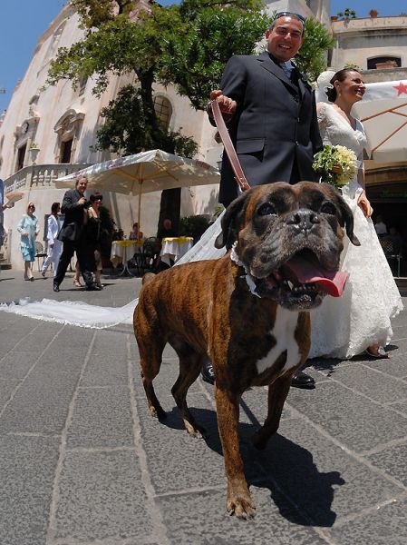 mouth watering wedding