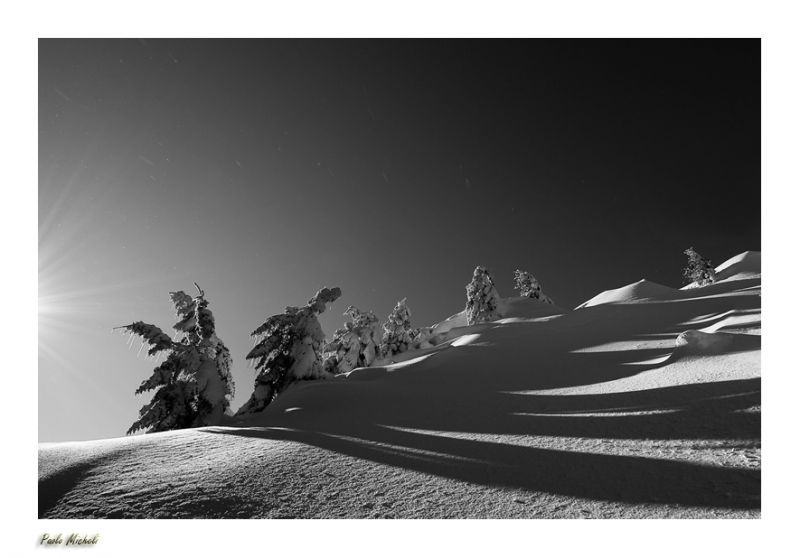 mornings shadows