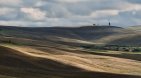 The lonely pile of hay