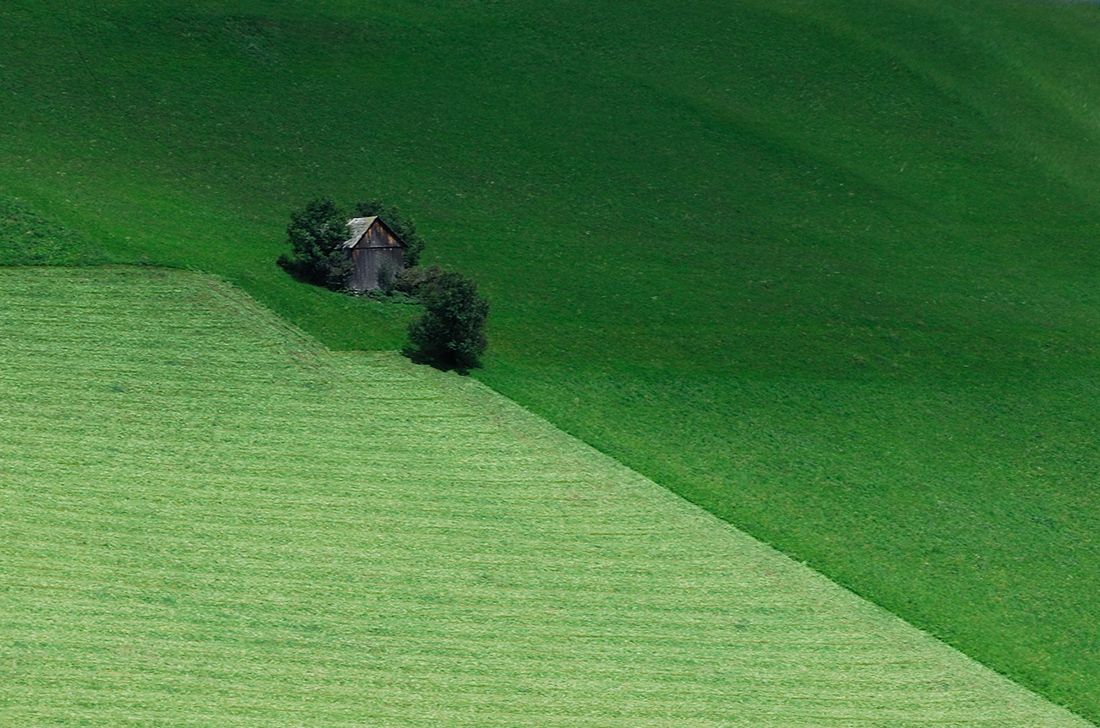 The boundary line