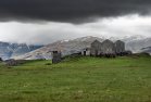 Icelandic horse farm