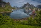 Reine