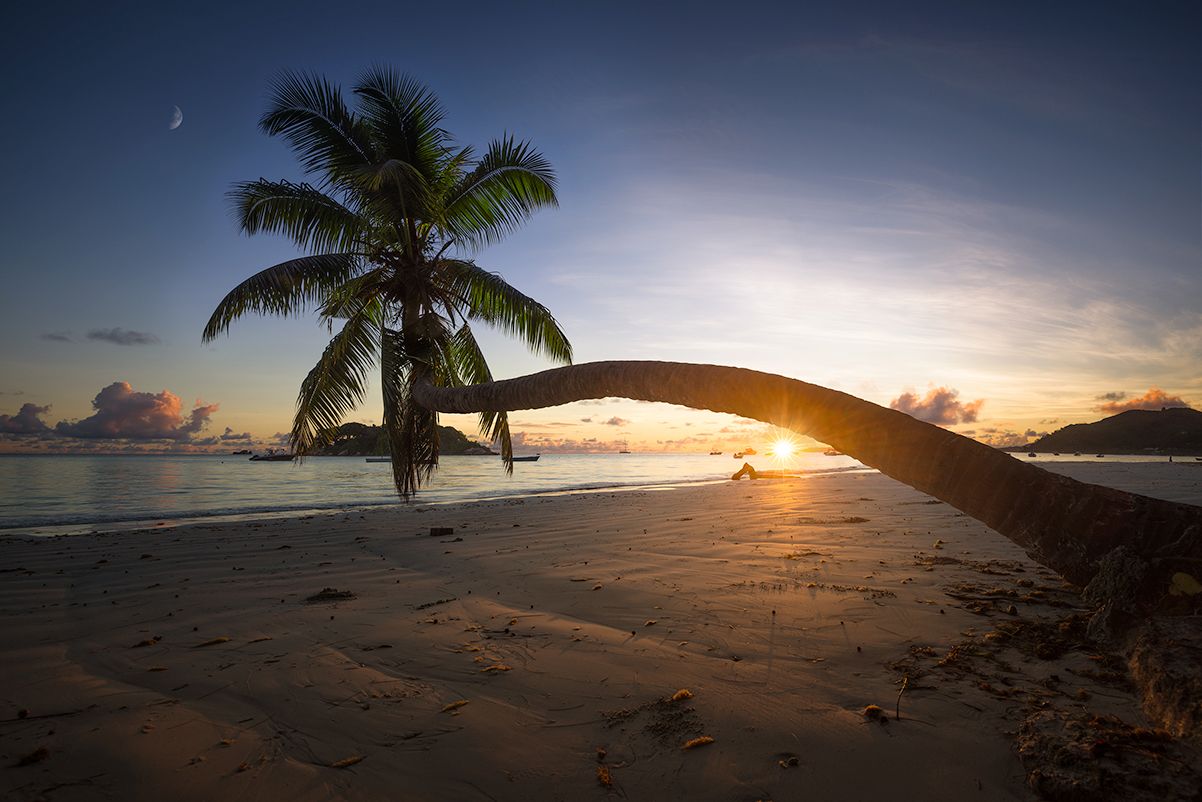 Sunrise